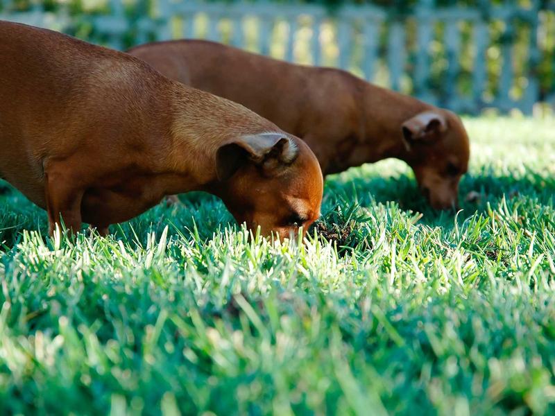 sudoku puzzle screenshot 1